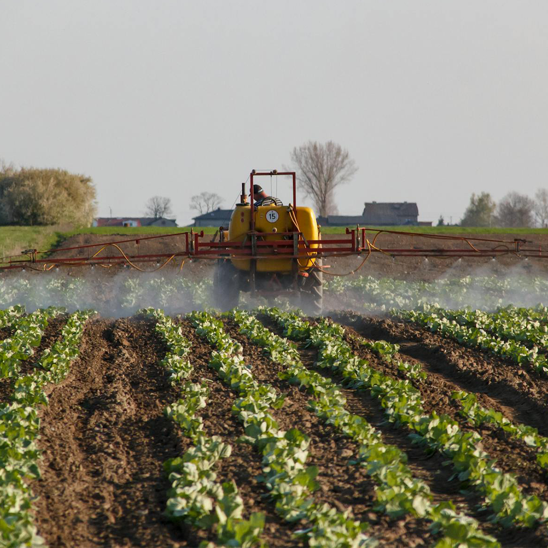 Más productividad en tu cosecha